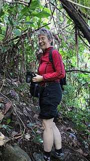 Wanderung im Berg-Dschungel von Nordthailand - Thailand-Blog