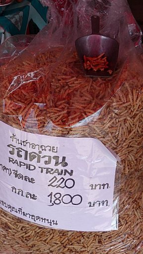 Gro&szlig;er Sack mit ger&ouml;steten Insektenlarven - Nordthailand