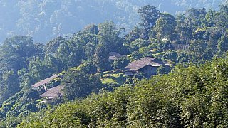 Die Lanjia Eco Lodge im Gr&uuml;nen - Nordthailand - Essen und Schlafen