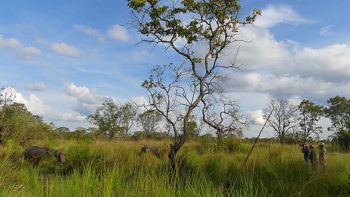 Ziwa Rhino Sanctuary - Uganda - Flora und Fauna