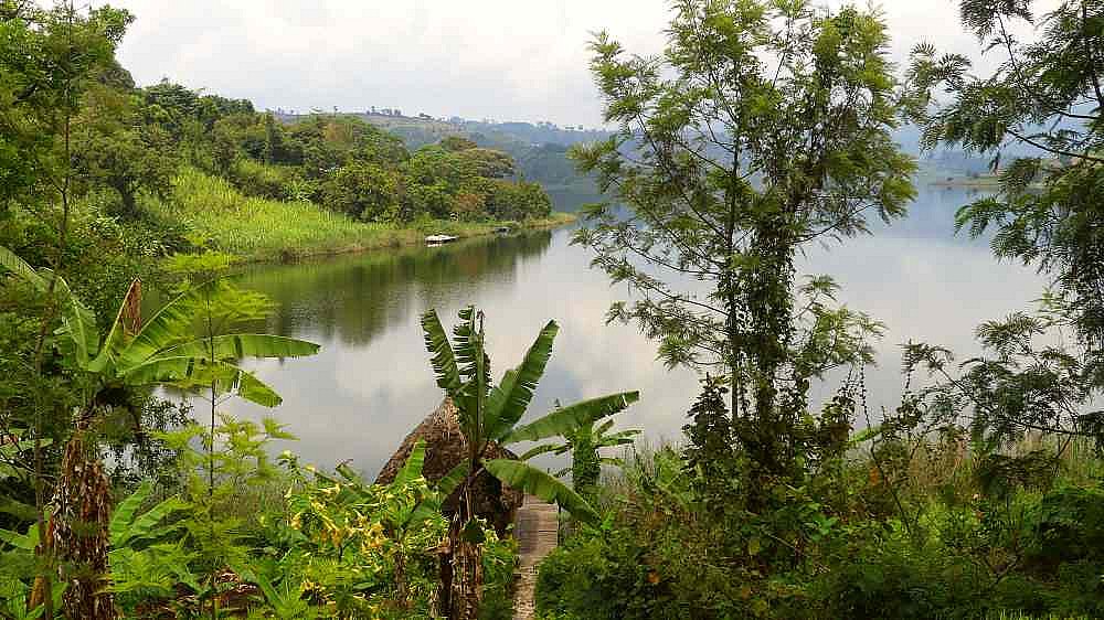 Blick von der Itambira-Insel - Uganda - Landschaft