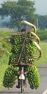 Lastentransport auf dem Fahrrad in Uganda - Uganda - Land und Leute