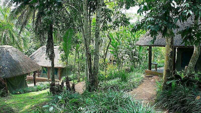 Safarizeltunterk&uuml;nfte im Kibale Forest Camp - Uganda - Schlafen und Essen