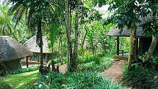 Safarizeltunterk&uuml;nfte im Kibale Forest Camp - Uganda - Schlafen und Essen