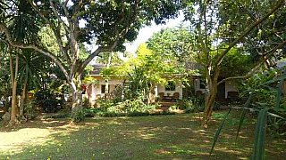 Garten des Via Via G&auml;stehauses in Entebbe - Uganda - Schlafen und Essen