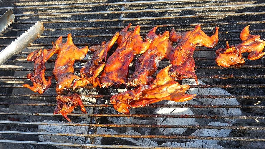 Gegrillte Frösche - Kambodscha - Essen und Schlafen