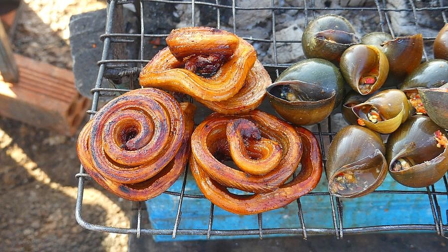 Gegrillte Schlangen und Muscheln - Kambodscha - Essen und Schlafen