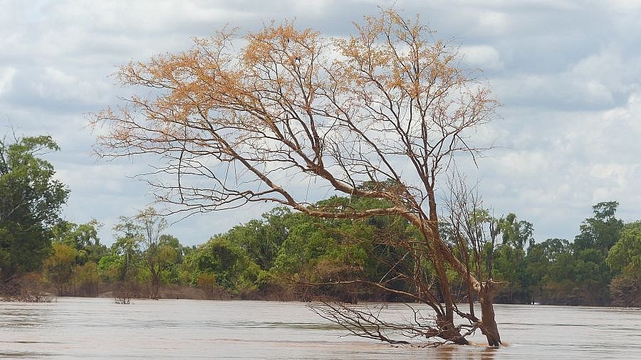 Mekong - Kambodscha-Landschaft