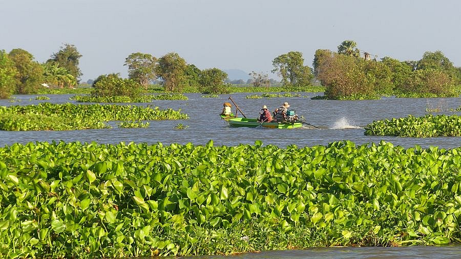 Unterwegs auf dem Tonle Sap-See - Kambodscha-Landschaft