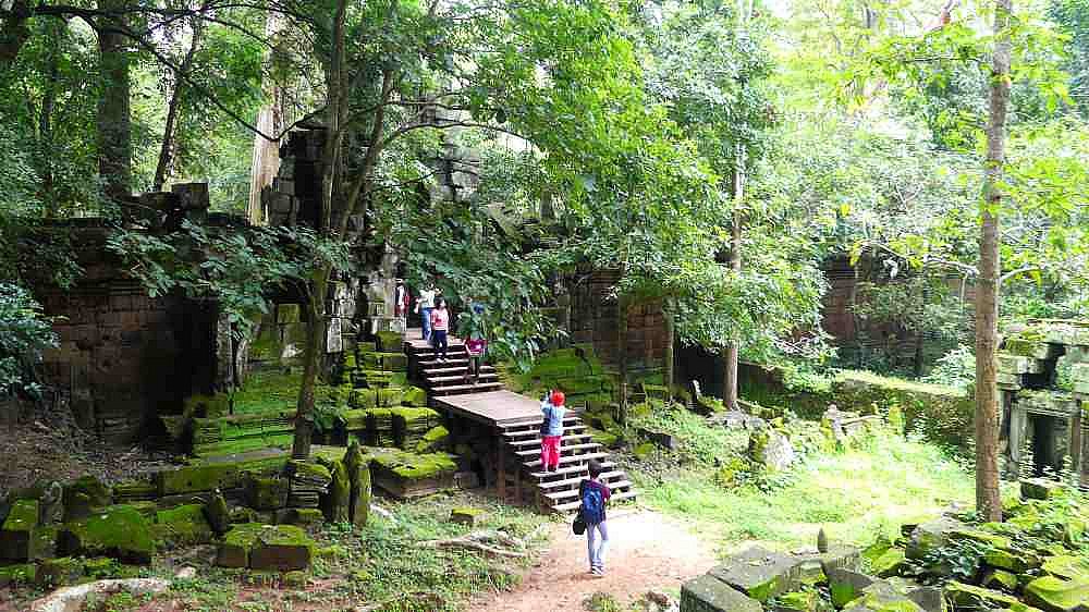 Dschungelpfad in Angkor Thom - Kambodscha - Sehenswürdigkeiten