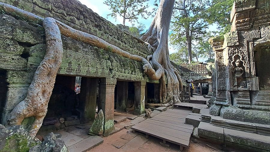 Ta Prohm-Tempel - Kambodscha - Sehenswürdigkeiten