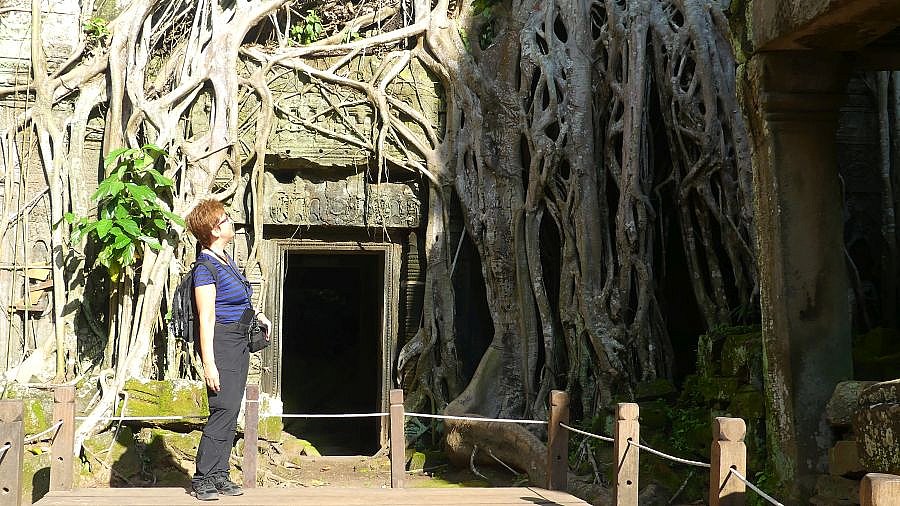 Überwucherter Ta Prohm-Tempel - Kambodscha - Sehenswürdigkeiten