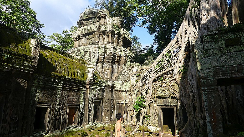 Ta Prohm im Würgegriff des Dschungels - Kambodscha - Sehenswürdigkeiten