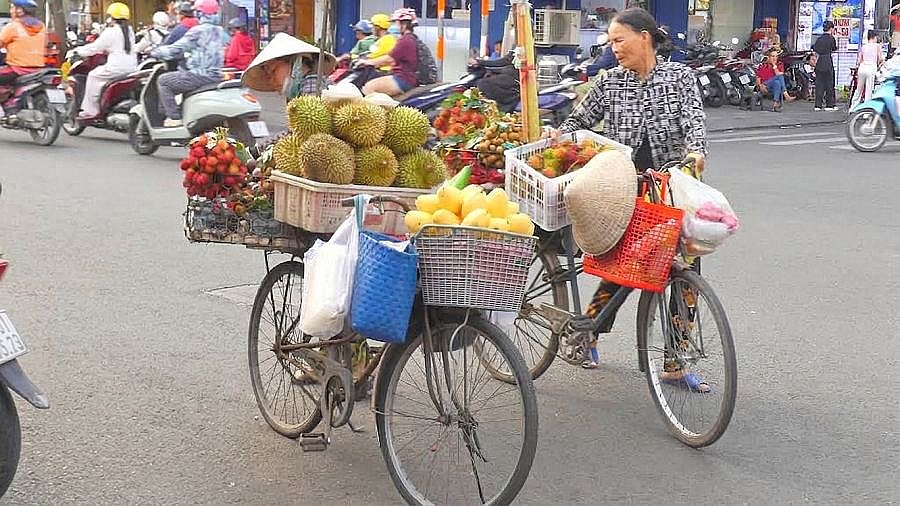 Frische Früchte unterwegs - Mekong-Delta - Land und Leute