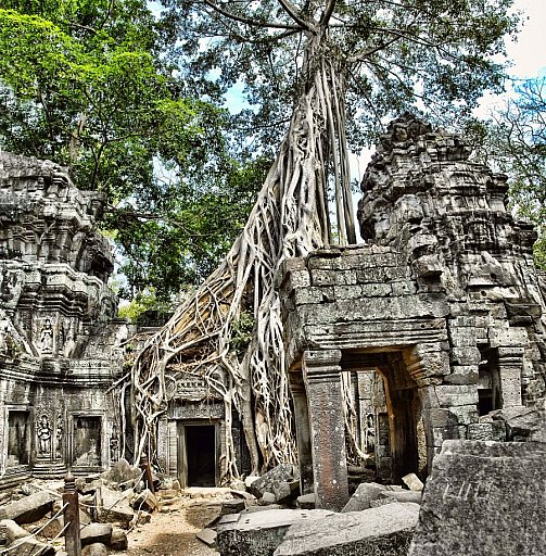 Ta Prohm- Tempel - Kambodscha - Sehenswürdigkeiten