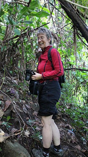 Wanderung im Berg-Dschungel von Nordthailand - Thailand-Blog