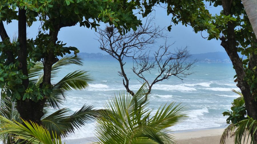 Feinsandige palmenbestandene Traumstrände finden wir im tropischen und subtropischen Asien.